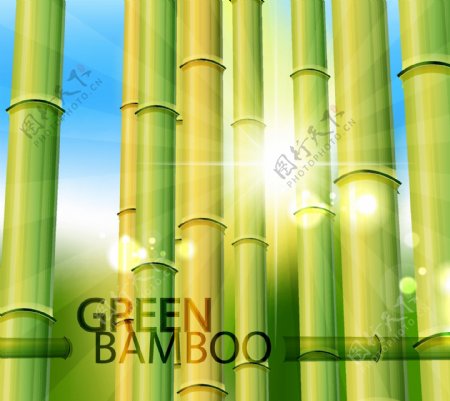翠绿竹子与阳光透射效果矢量素材
