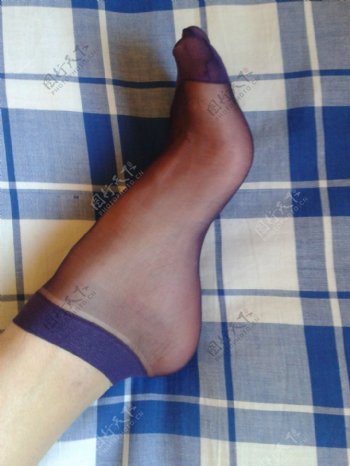 女袜丝袜紫色丝袜图片