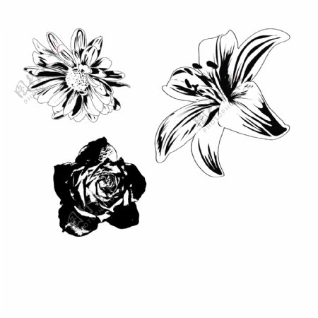 黑白花朵图案矢量素材