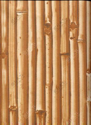 竹子墙纸素材图片