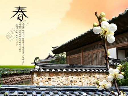 房地产商务设计草地休闲浪漫花朵韩国花纹图库2psd分层素材源文件