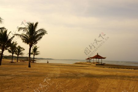 巴厘岛的海滩图片