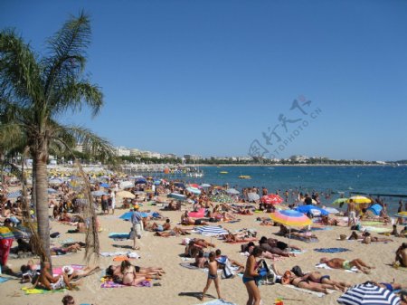 法国戛纳沙滩游人游泳蓝色海洋晒太阳海滩图片