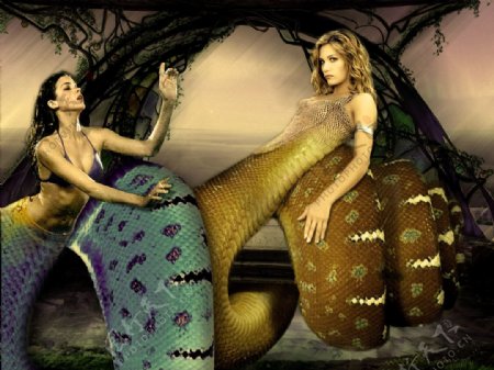 欧美创意美女蛇PSD图片素材