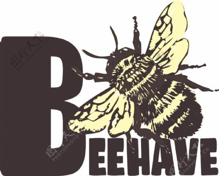 印花矢量图动物蜜蜂文字英文免费素材