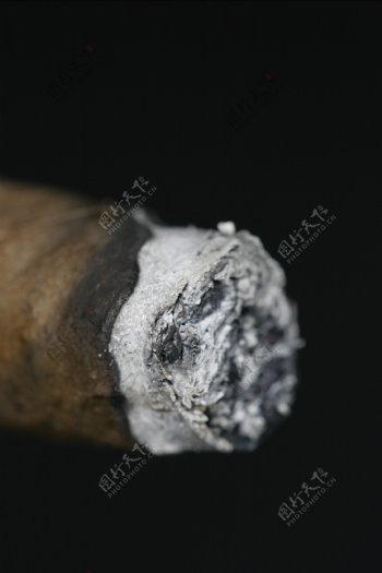 雪茄高清图片
