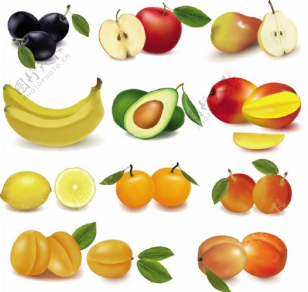 各种新鲜水果的设计元素矢量图03