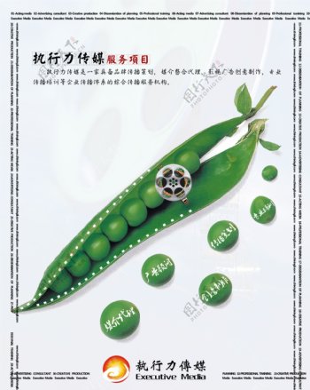 创意广告豌豆图片