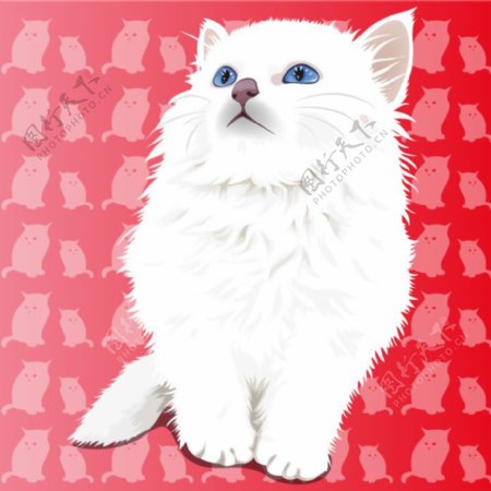 印花矢量图卡通动物小猫色彩白色免费素材
