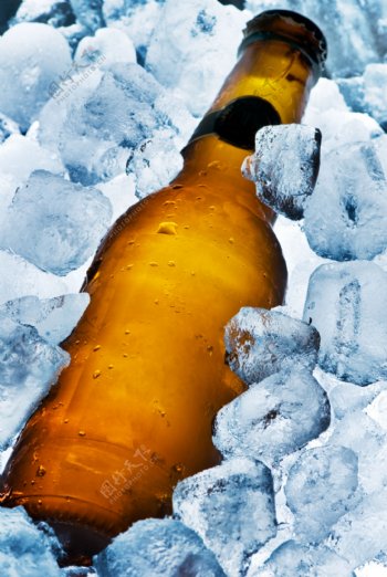 啤酒与冰块3图片