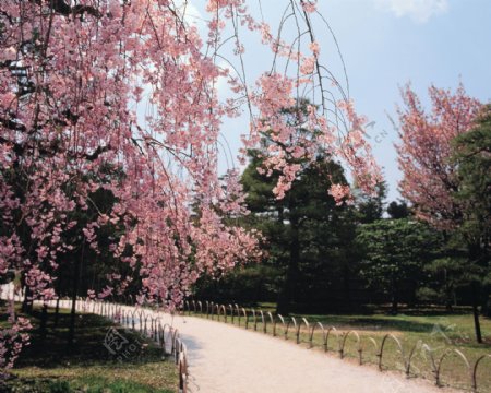 春天公园