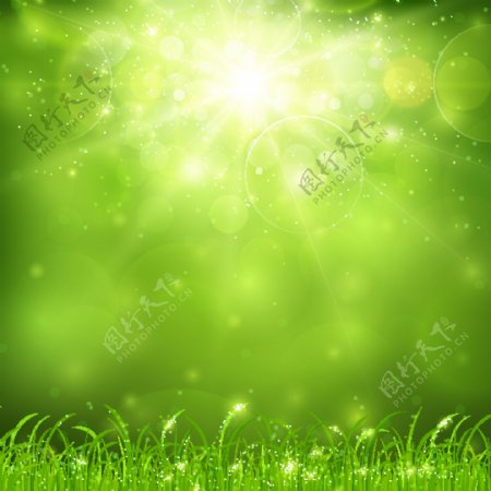 绿色自然阳光背景矢量