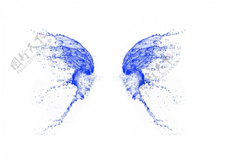 透明水蝴蝶翅膀图片