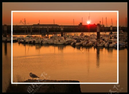 法国勒阿弗尔清晨的港湾图片