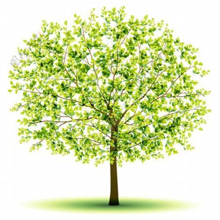创意绿色树设计矢量图03