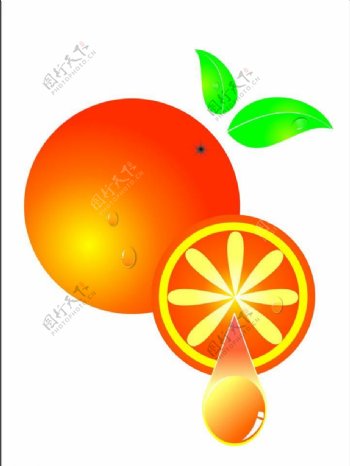 手绘橙子水滴图片