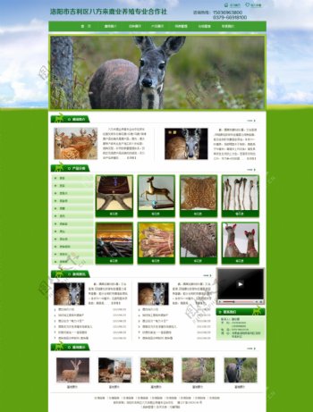 鹿业养殖网页设计图片