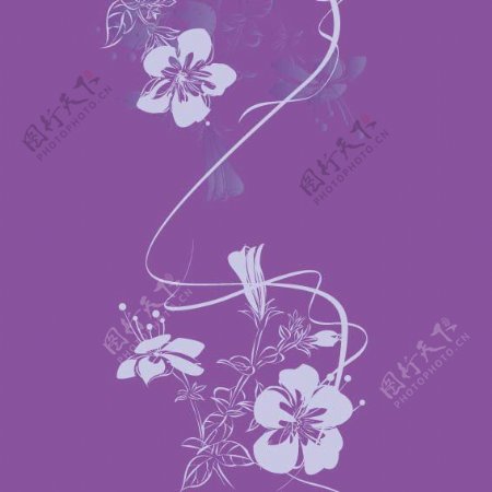 印花矢量图色彩花卉紫色白色免费素材