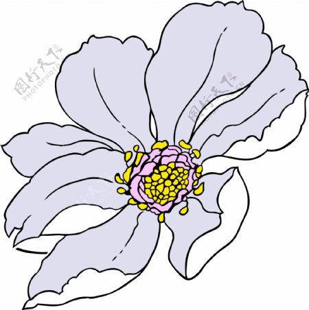 花纹花纹图案矢量素材植物