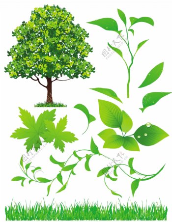 绿色植物系列矢量素材