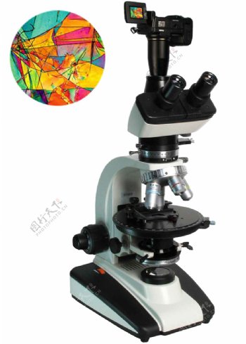 高清显微镜图片