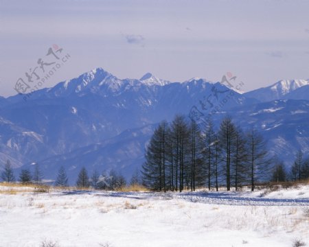 冬天雪景