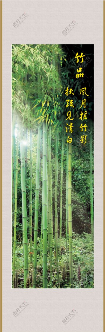 竹品图片