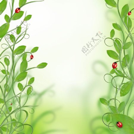 绿叶藤背景图片