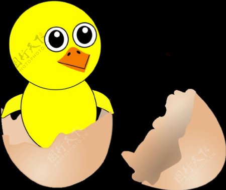 有趣的卡通新生小鸡从蛋