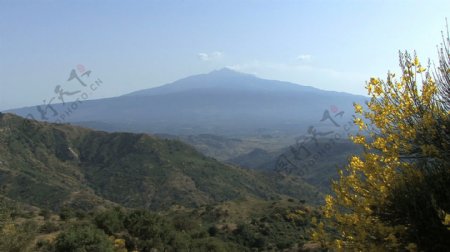 西西里岛的埃特纳火山和黄色的花9股的录像视频免费下载