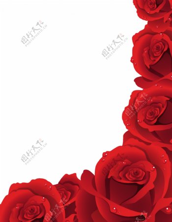 精美逼真的红玫瑰的边框矢量素材