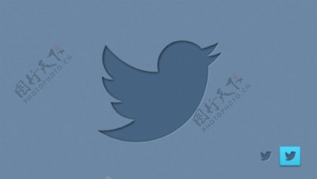新的推特社会鸟的标识