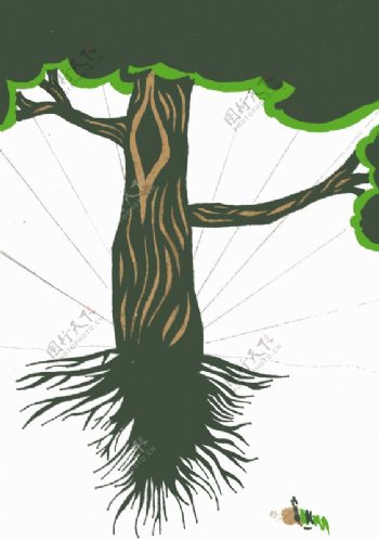树的素描