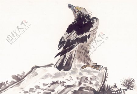 中华艺术绘画古画动物绘画猴子鹿老虎熊猫鸭子中国古代绘画