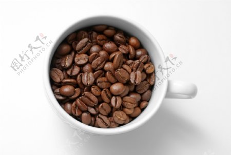 盛满咖啡豆的咖啡杯