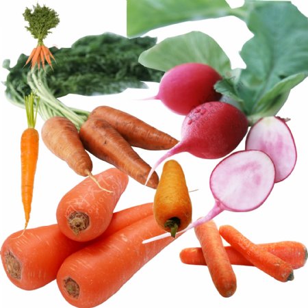 蔬菜萝卜图片