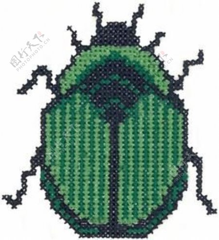 绣花动物甲壳虫色彩绿色免费素材