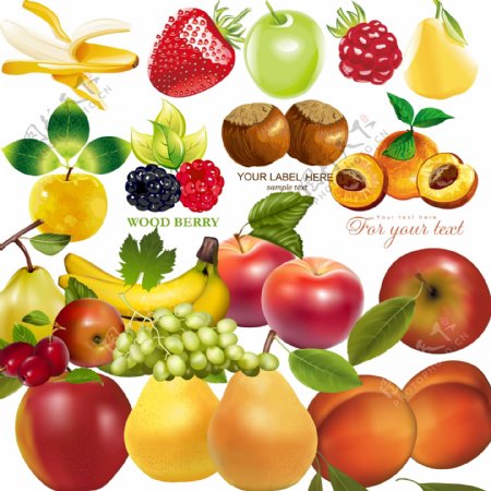 水果集图片