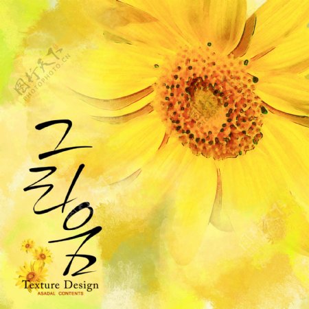 韩国花卉设计素材