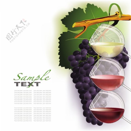 葡萄酒和葡萄矢量素材