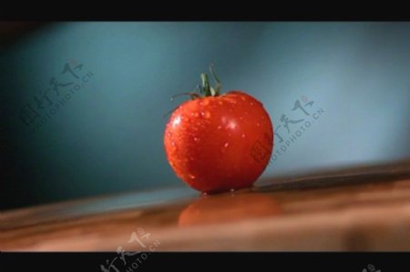 西红柿视频素材模板下载