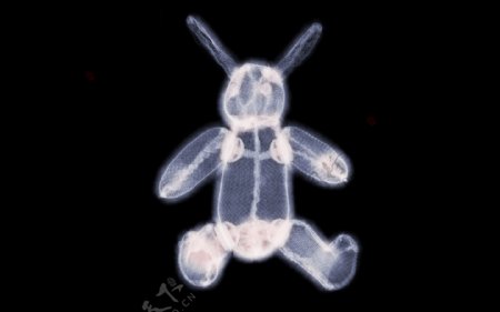 玩具熊的x光透视图片