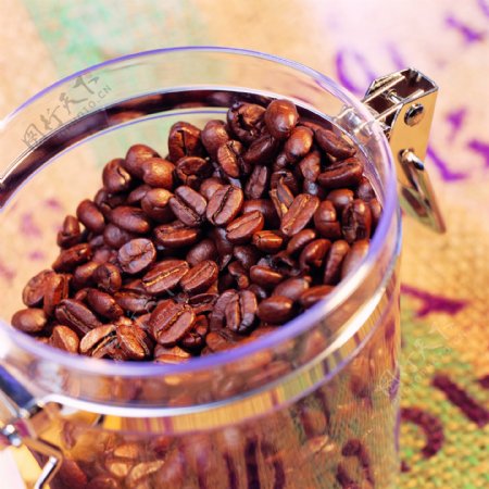 咖啡豆特写咖啡可可素材