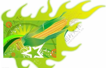 创意向量玉米图片