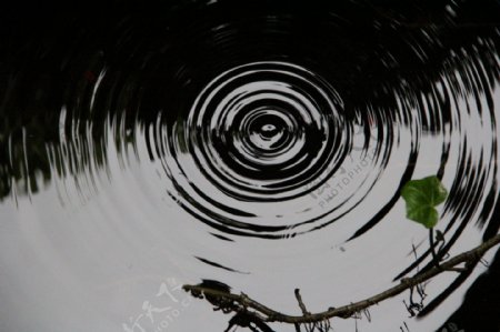 水滴之圈图片