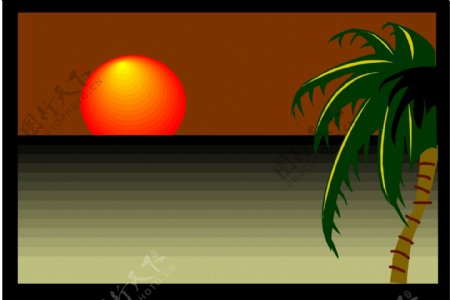 夕阳下的海边椰子树
