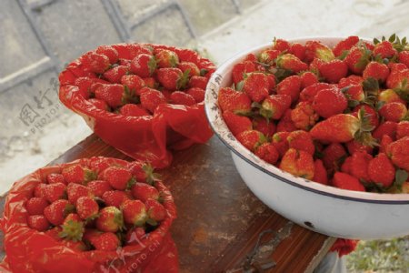 西塘草莓籽