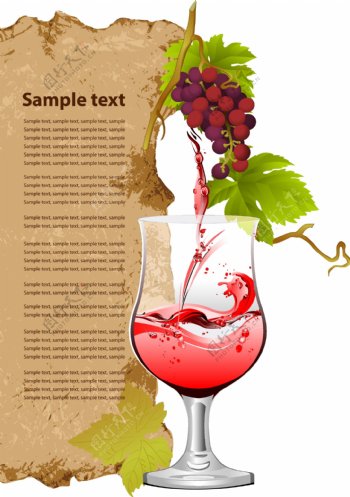 葡萄酒和葡萄的矢量图形
