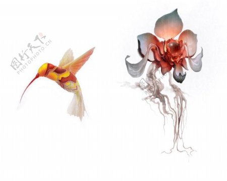 位图植物插画动物鸟类优雅植物免费素材