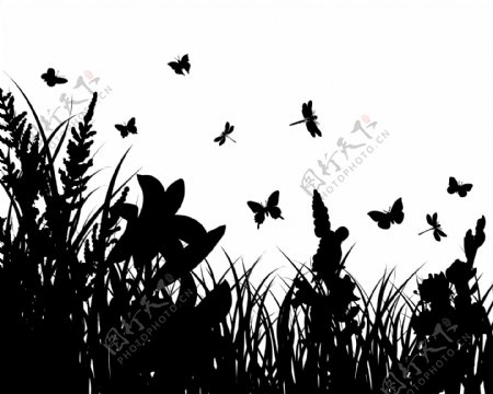 草丛剪影和蝴蝶